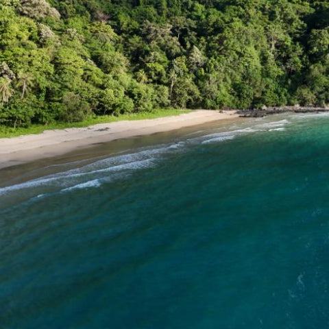 Cadlao Island Beach Lot