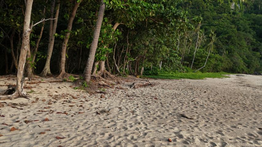Cadlao Island Beach Lot